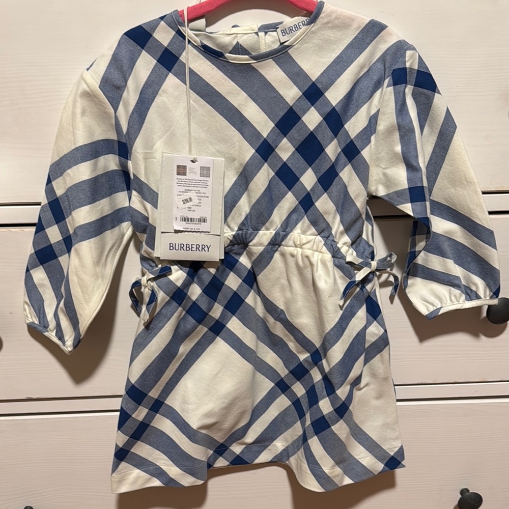 Burberry Blue and White Plaid Dress